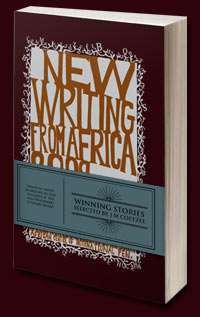 newwritingfromafrica2009
